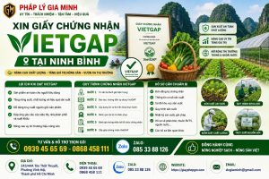 Xin giấy chứng nhận VietGAP tại Ninh Bình