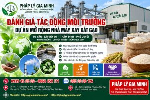 Đánh giá tác động môi trường dự án mở rộng nhà máy xay xát gạo