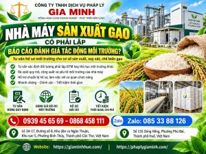 Nhà máy sản xuất gạo có phải lập báo cáo đánh giá tác động môi trường không